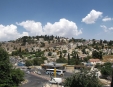 Safed
